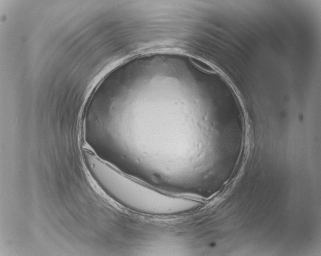 X0000051860957200507151817