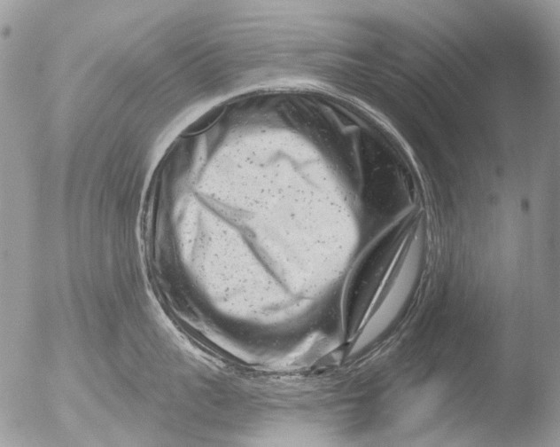 X0000051860959200507151817