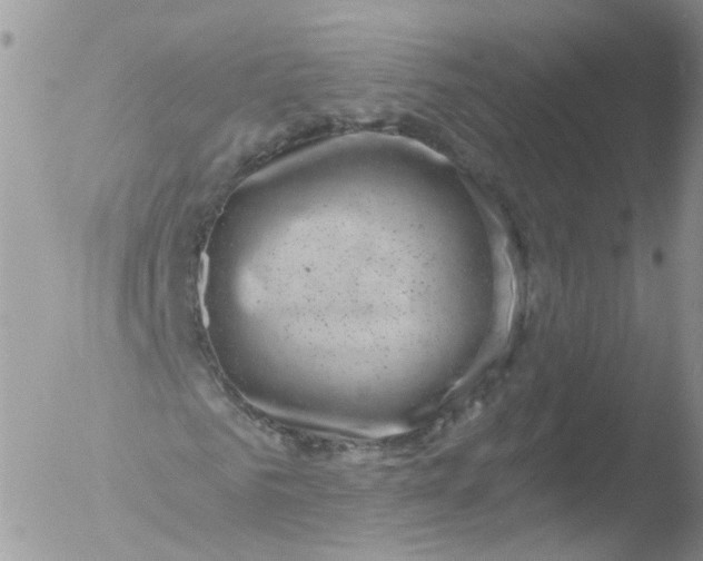 X0000051860961200507151816