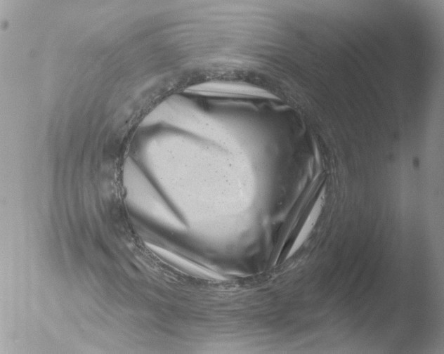 X0000051860964200507151816