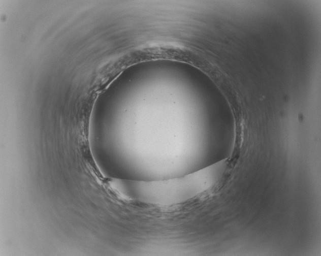 X0000051860965200507151816