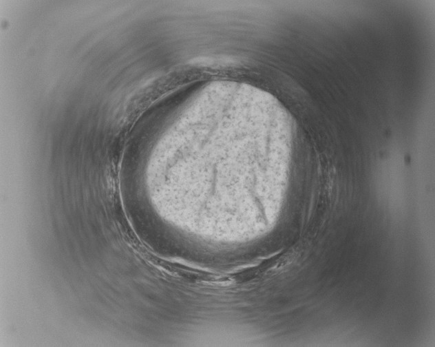 X0000051860966200507151816