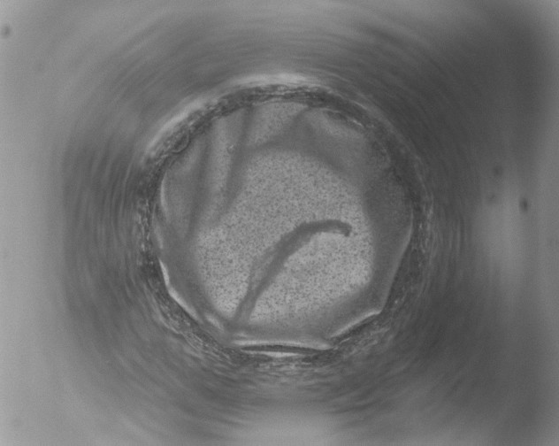 X0000051860967200507151816