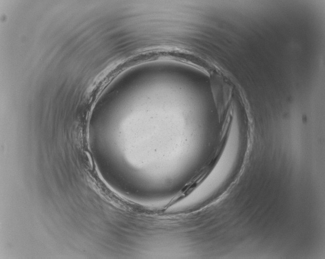 X0000051860969200507151816