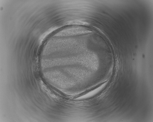 X0000051860971200507151816