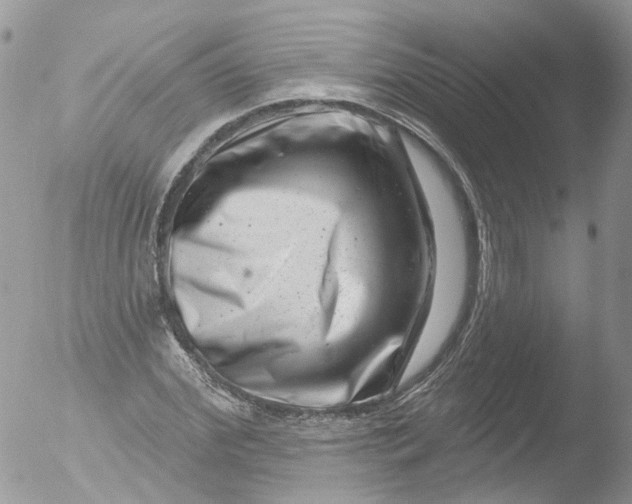 X0000051860972200507151816