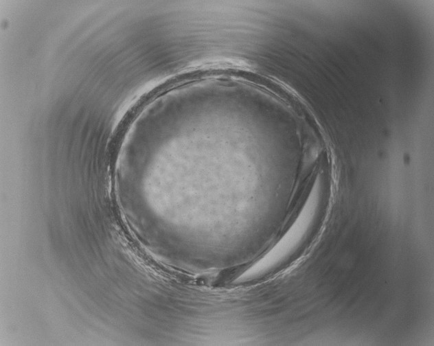 X0000051860973200507151816