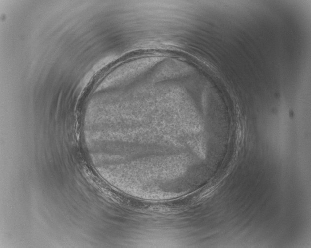 X0000051860974200507151816