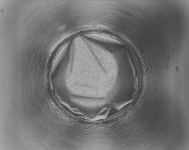 X0000051860975200507151816