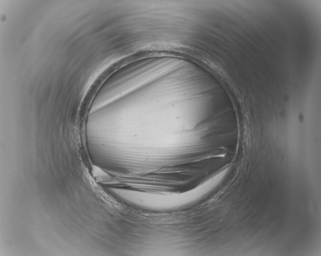 X0000051860976200507151816