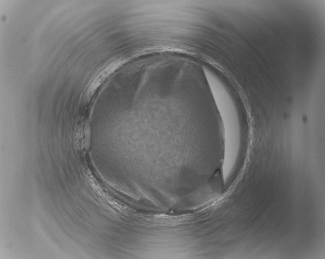 X0000051860977200507151816