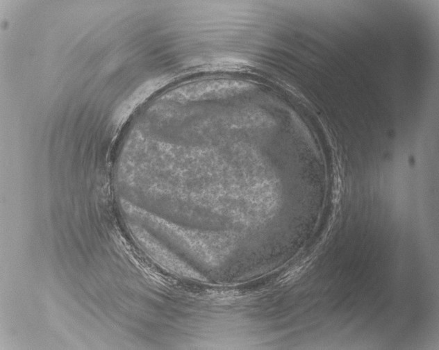 X0000051860978200507151816