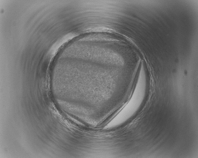 X0000051860979200507151816