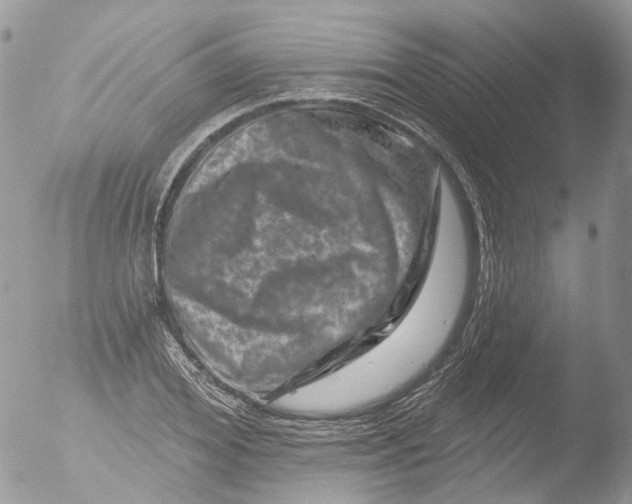 X0000051860980200507151816