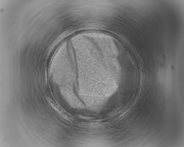 X0000051860982200507151816