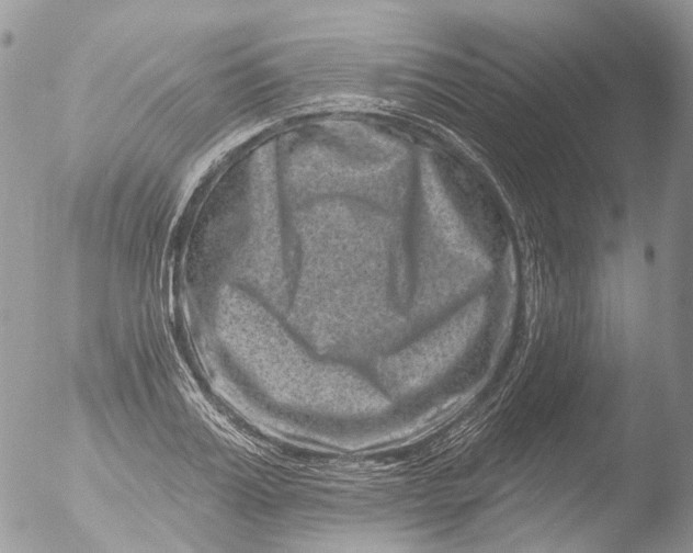 X0000051860987200507151816