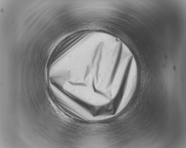 X0000051860988200507151816