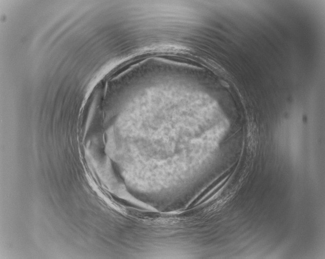 X0000051860989200507151816