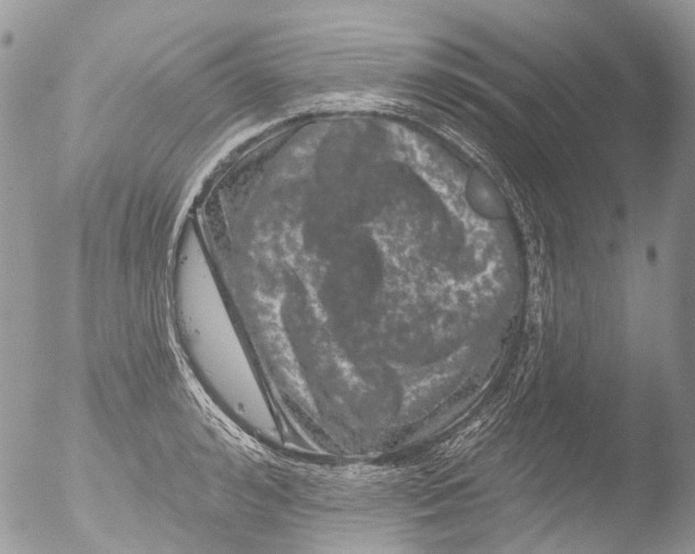 X0000051860992200507151815