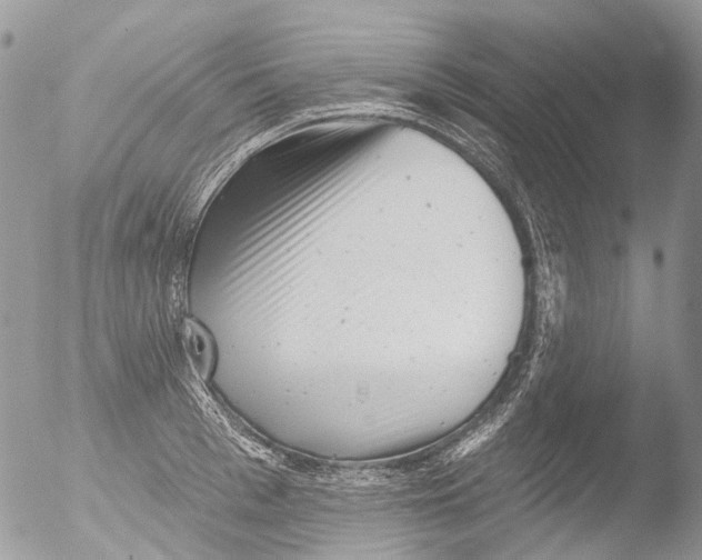 X0000051860993200507151815