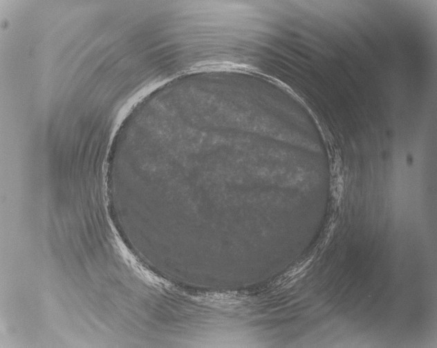 X0000051860995200507151815