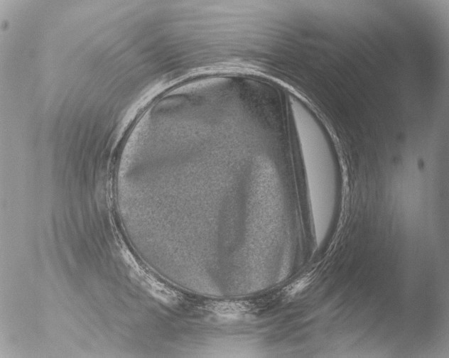 X0000051860998200507151815