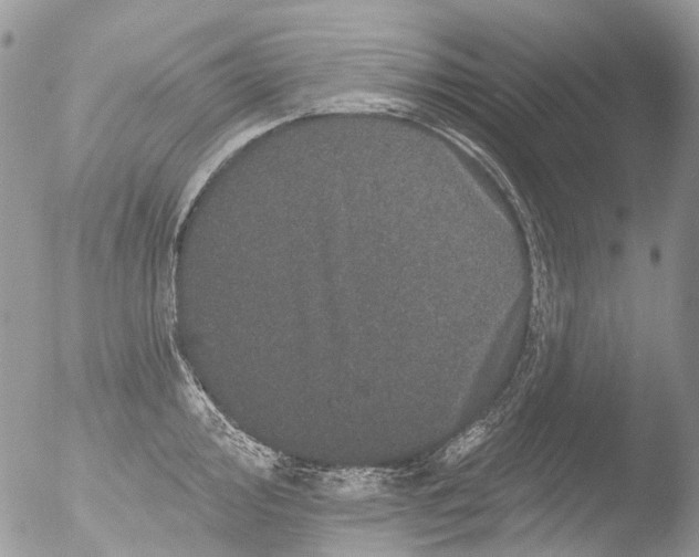 X0000051861000200507151815