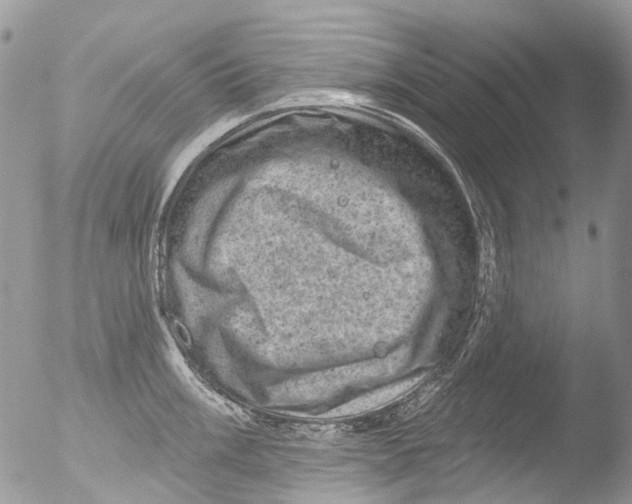 X0000051861003200507151815