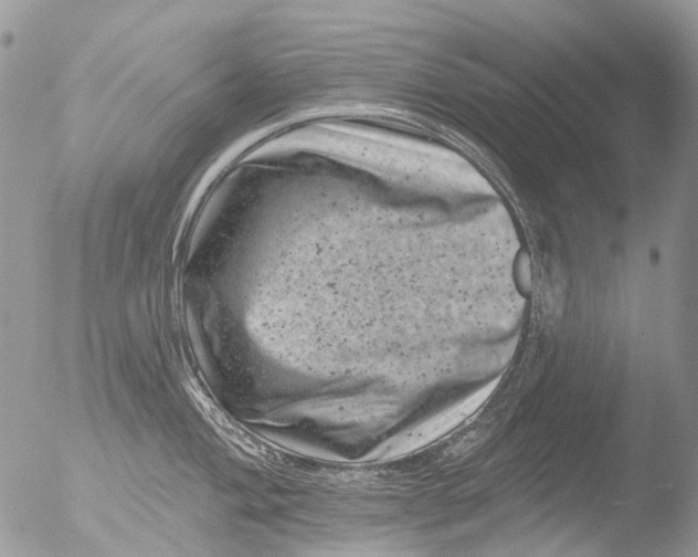 X0000051861004200507151815