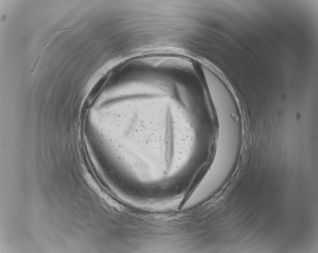 X0000051861005200507151815