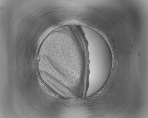 X0000051861008200507151815