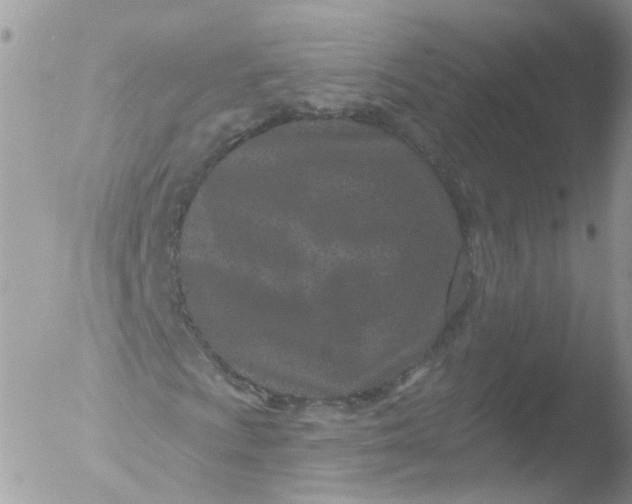 X0000051861009200507151814