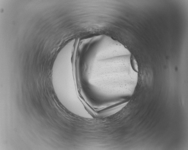 X0000051861012200507151814