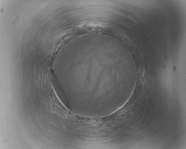 X0000051861013200507151814