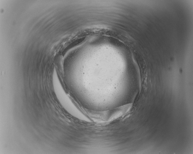 X0000051861014200507151814