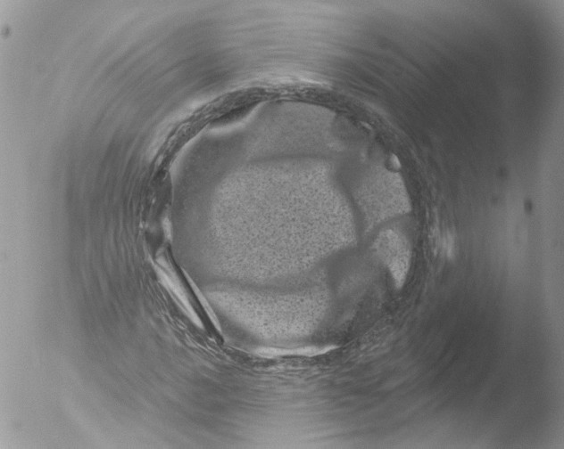 X0000051861016200507151815