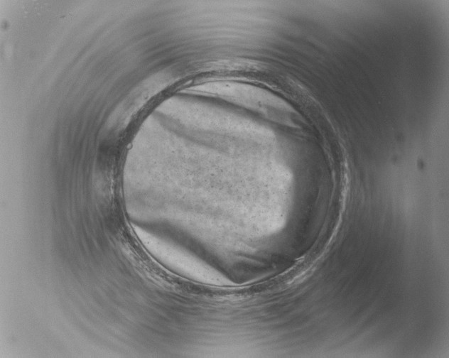 X0000051861017200507151815