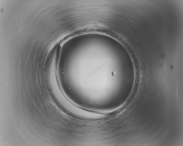 X0000051861018200507151815