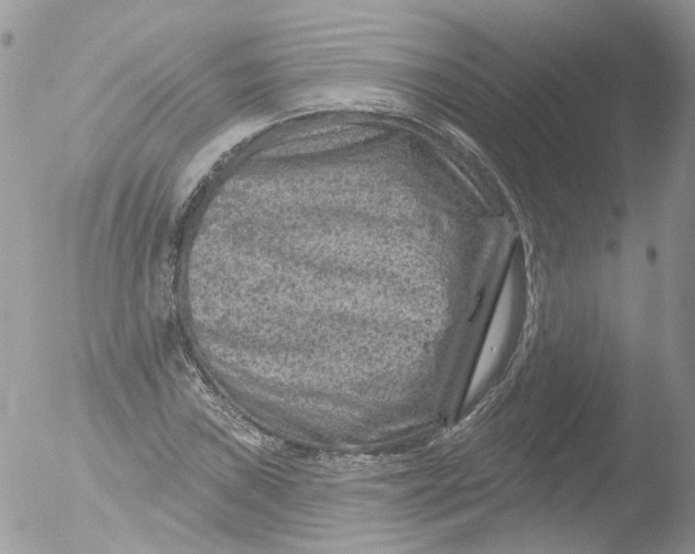 X0000051861019200507151815