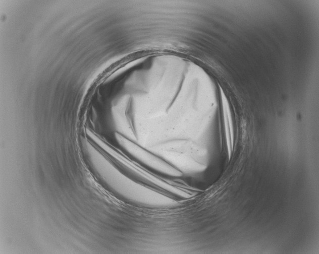 X0000051861020200507151815