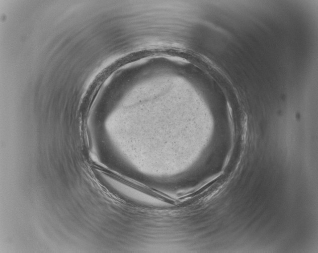 X0000051861021200507151815