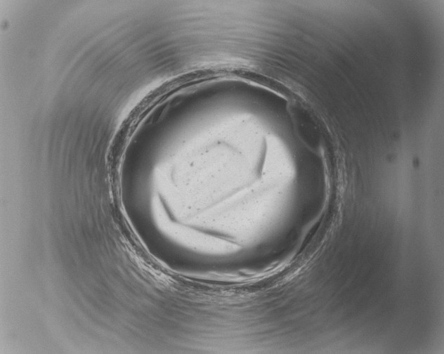 X0000051861022200507151815