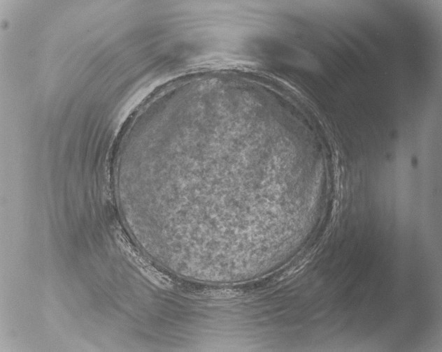 X0000051861023200507151815