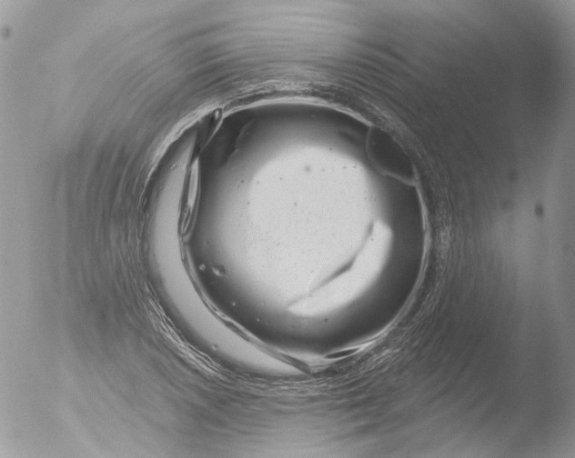 X0000051861026200507151815