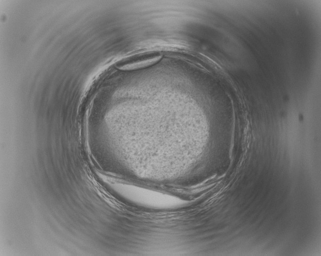 X0000051861027200507151815