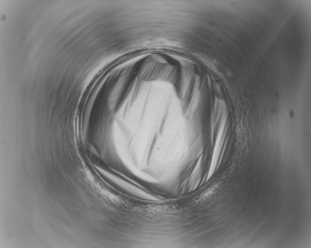 X0000051861032200507151815