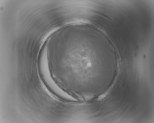 X0000051861034200507151815