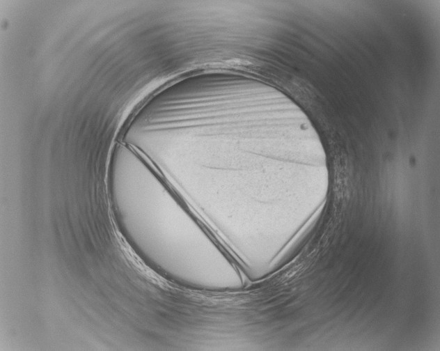 X0000051861036200507151815