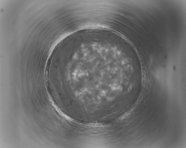 X0000051861037200507151815