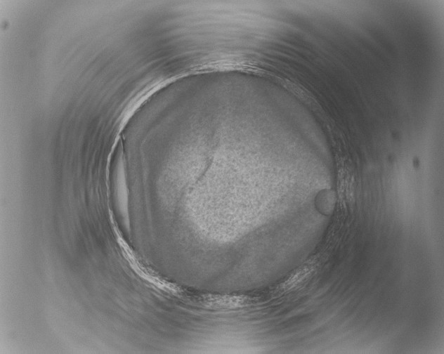 X0000051861039200507151815